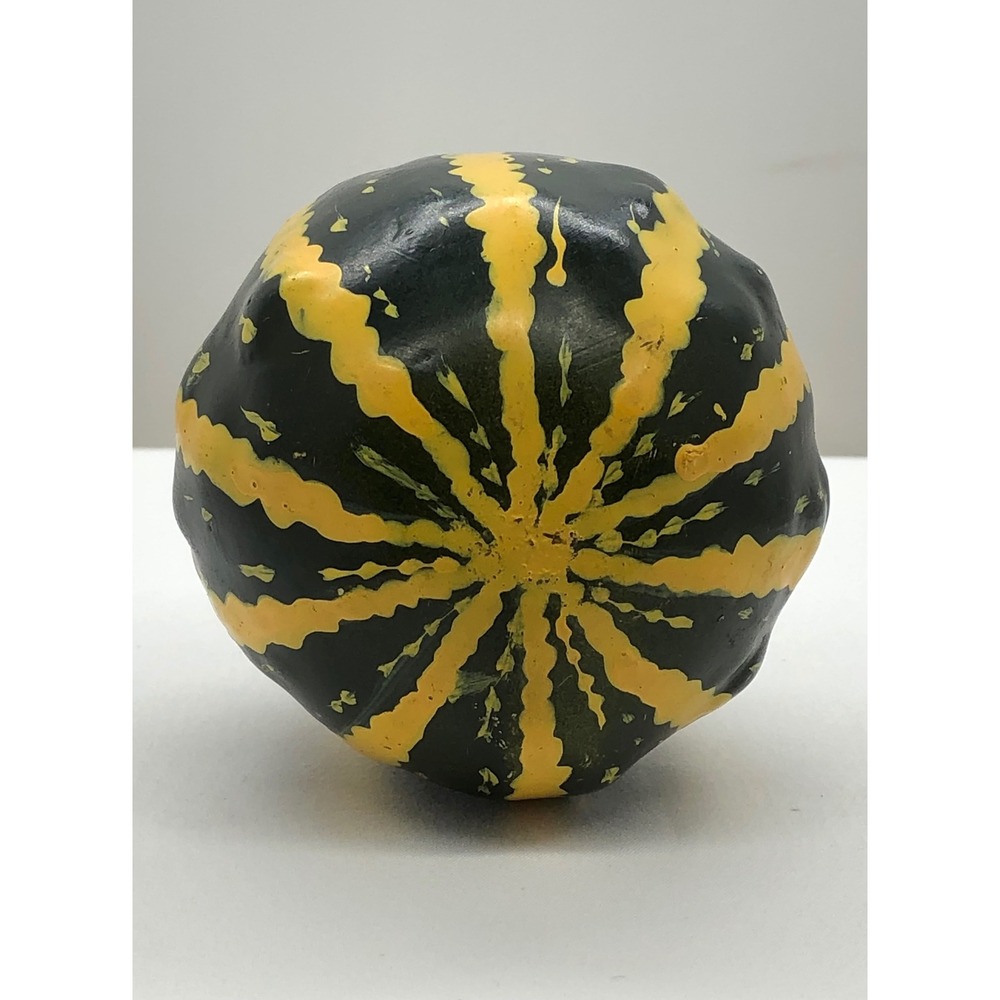 Remo Veggie Shake Hand Percussion Gourd Style Shaker Green Yellow Striped - Picture 7 of 11